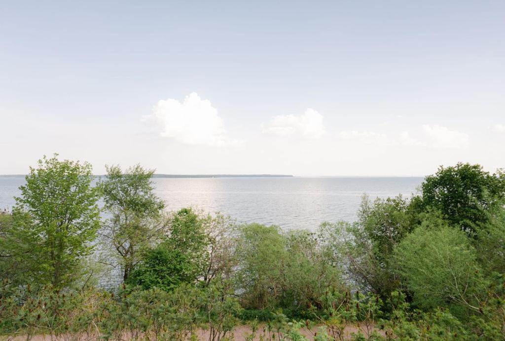 Seagull Bay Motel Бейфийлд Стая снимка